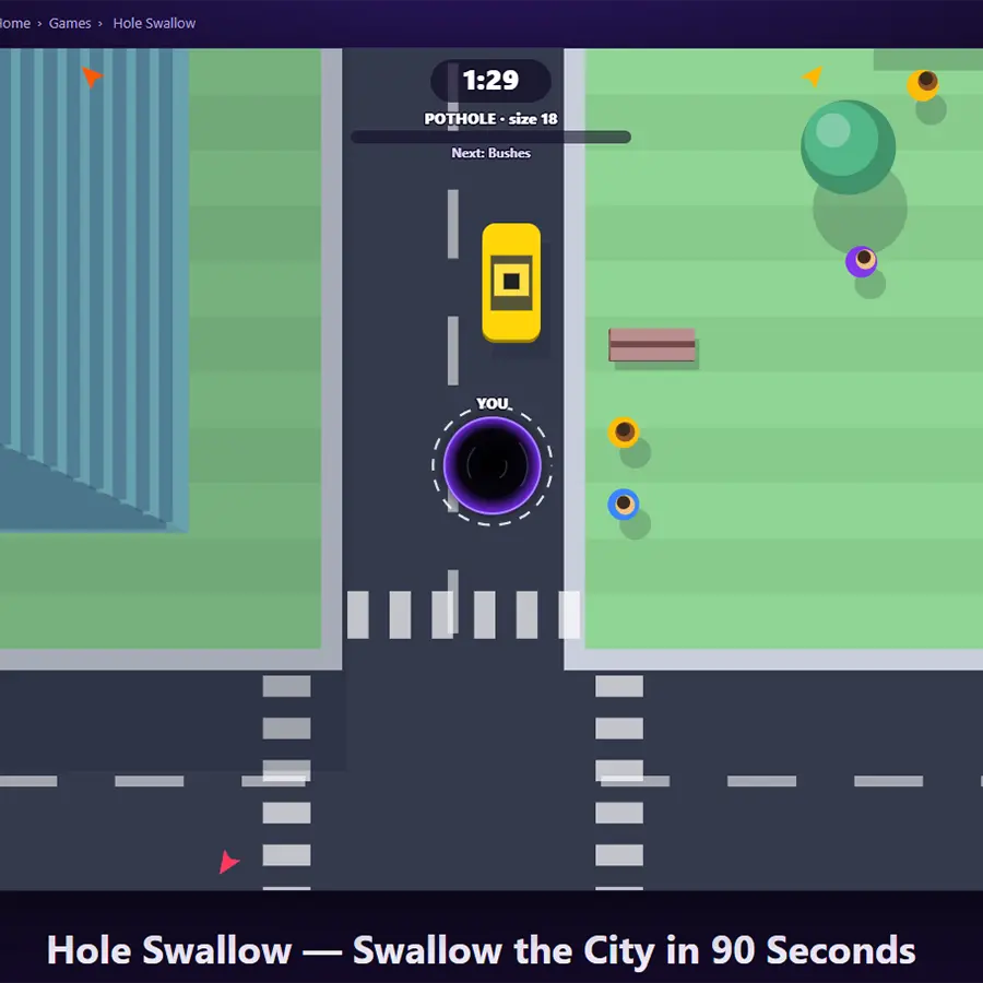 Hole Swallow